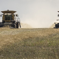 Agricultural