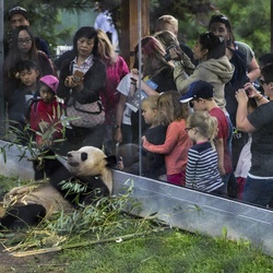 Toronto Zoo